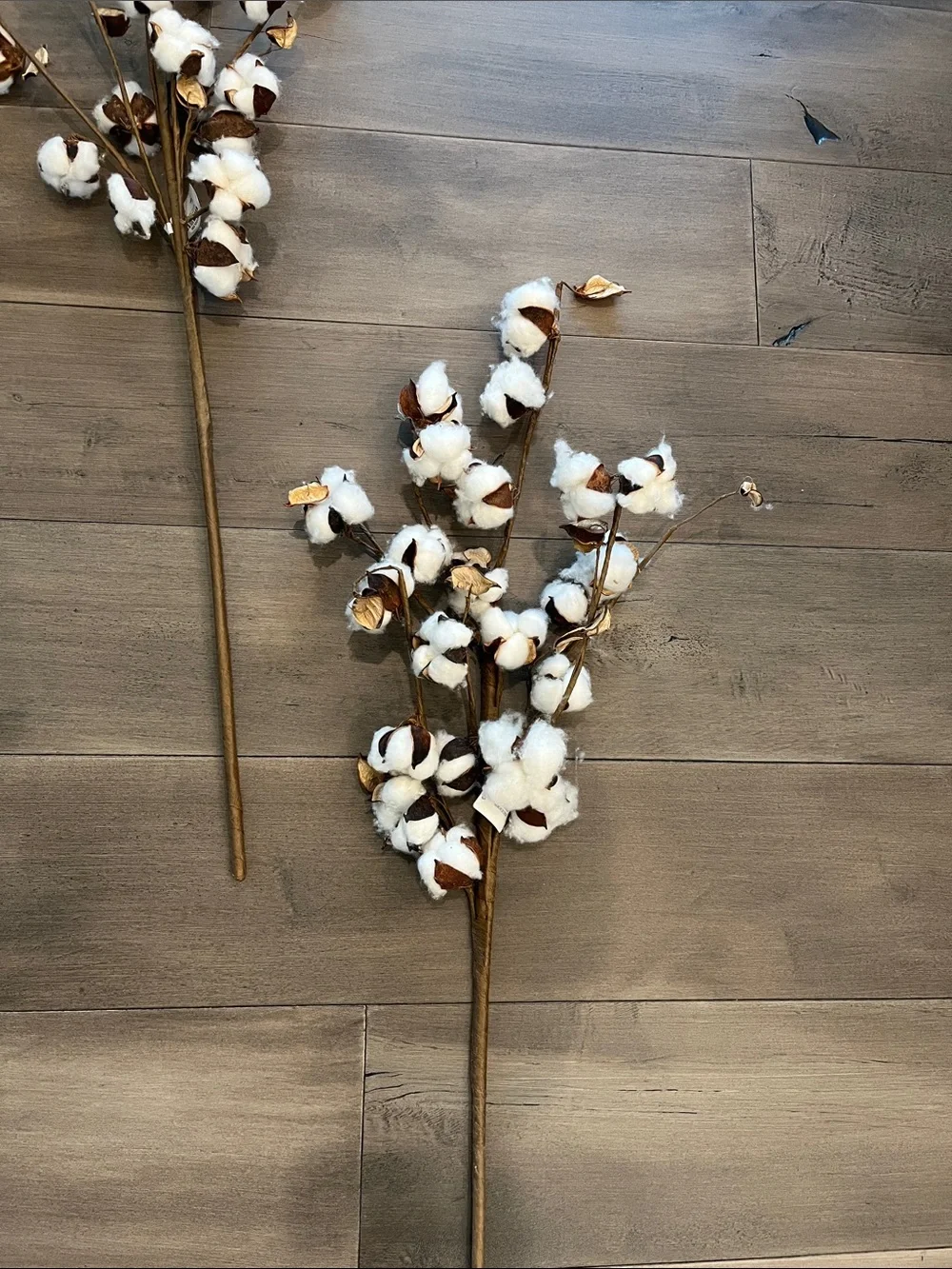 NEW Set of 4 Pier 1 Cotton Stem Spray - White and Brown Floral Accent